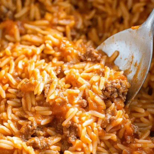 GROUND BEEF ORZO WITH TOMATO CREAM SAUCE