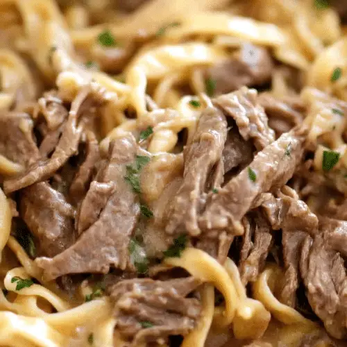 SLOW COOKER BEEF AND NOODLES