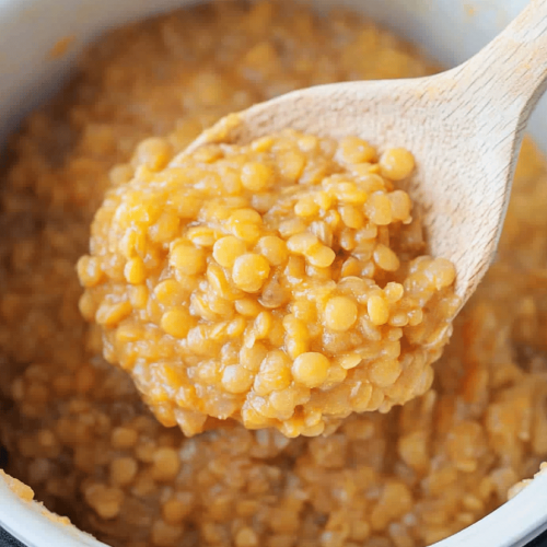 Easy Slow Cooker Lentils Recipe