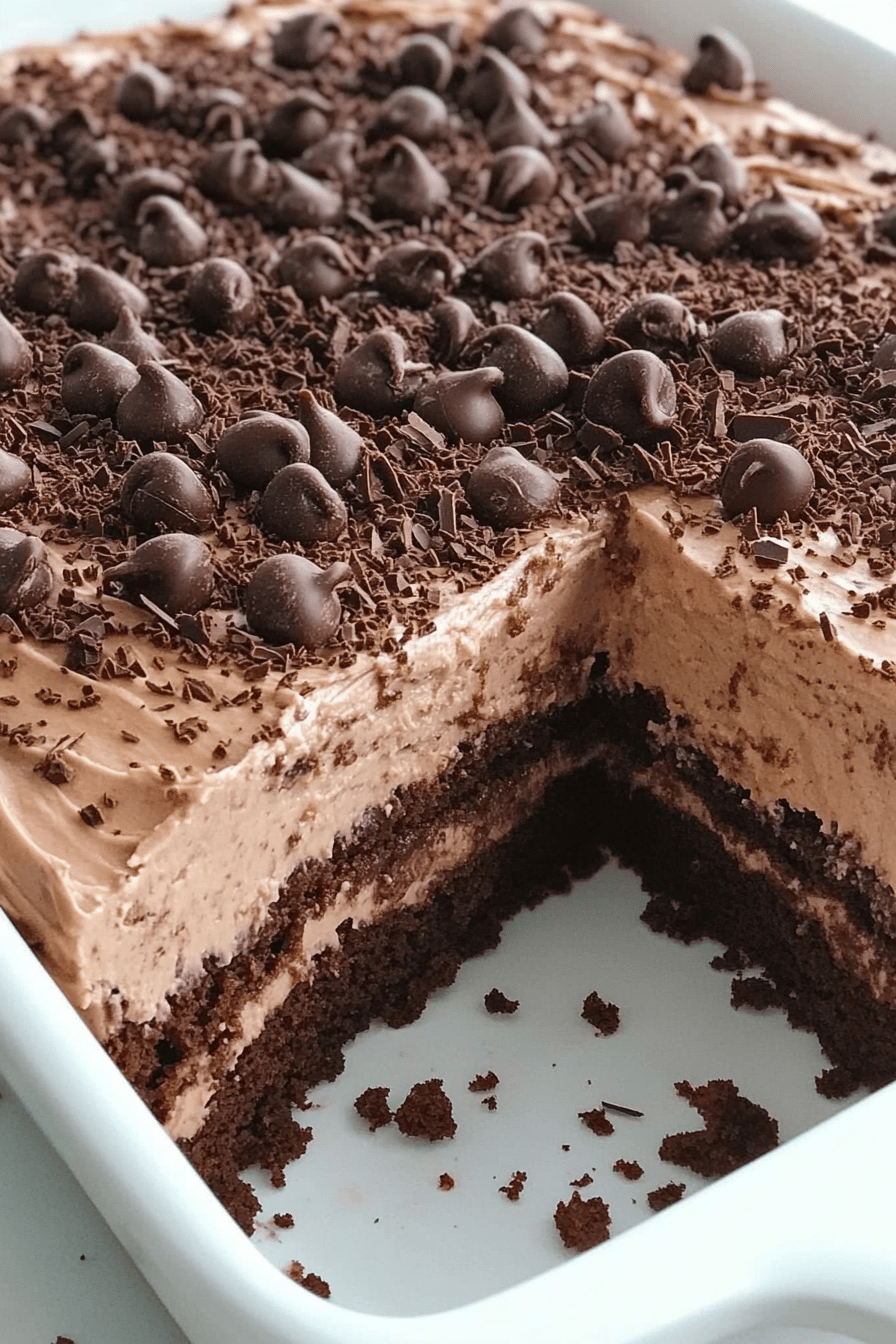 Easy Skinny Chocolate Cake Recipe Final Dish Presentation