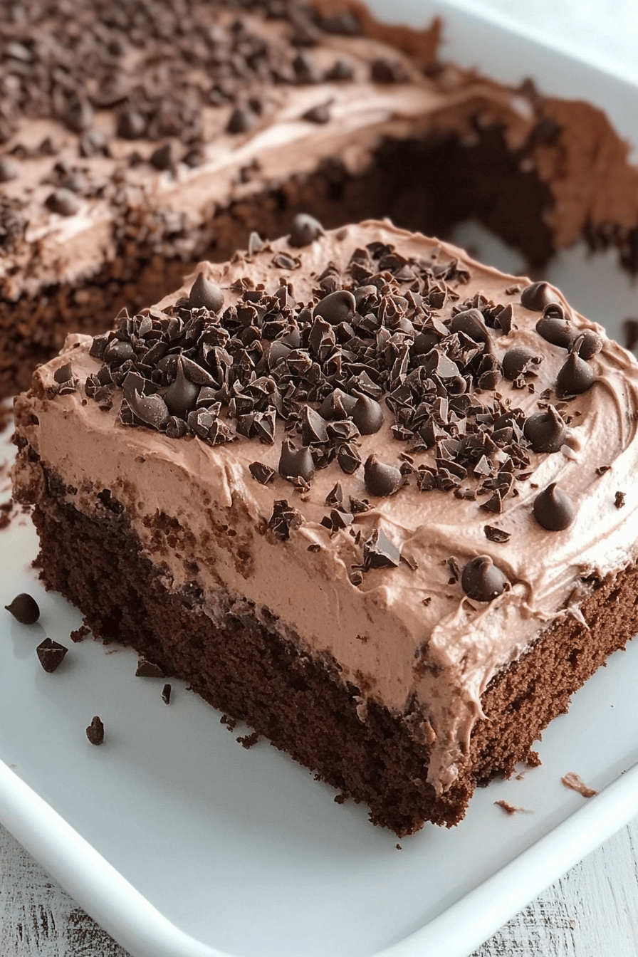 Easy Skinny Chocolate Cake Recipe Final Dish Presentation