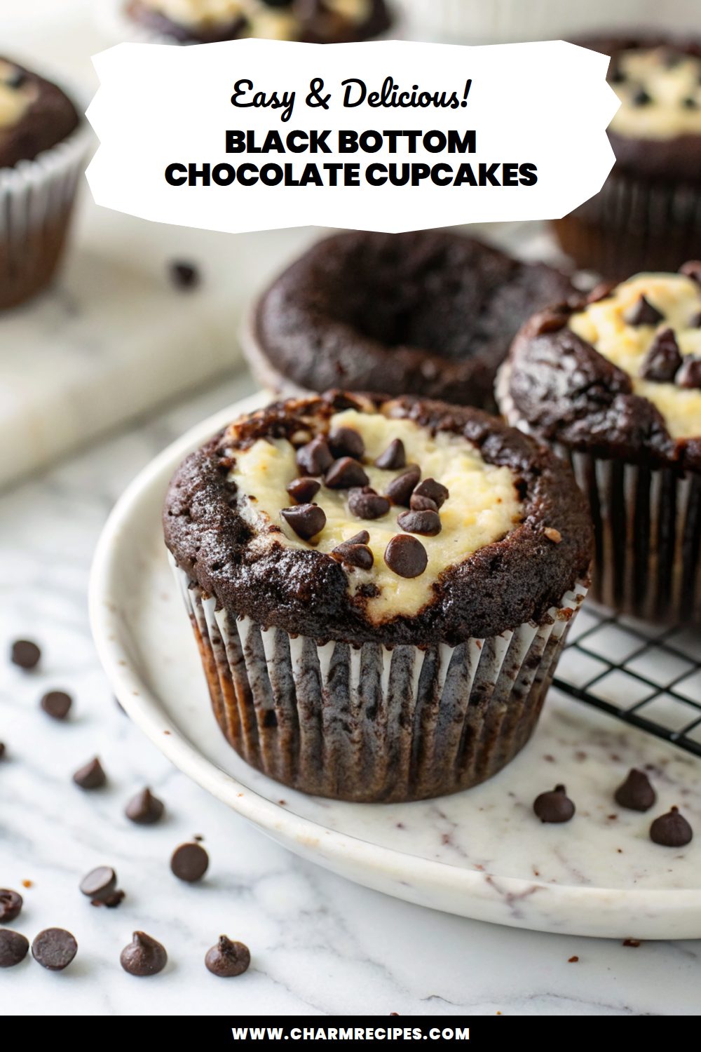 Black Bottom Chocolate Cupcakes