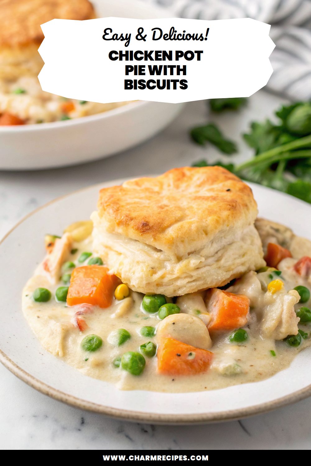 Chicken Pot Pie With Biscuits