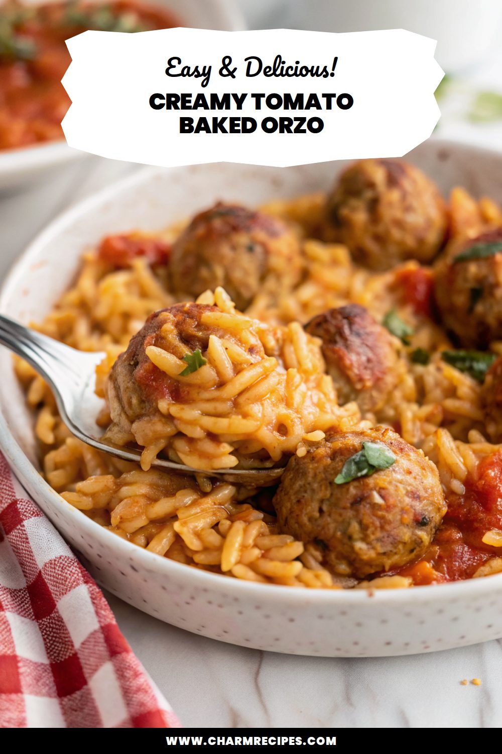 Creamy Tomato Baked Orzo