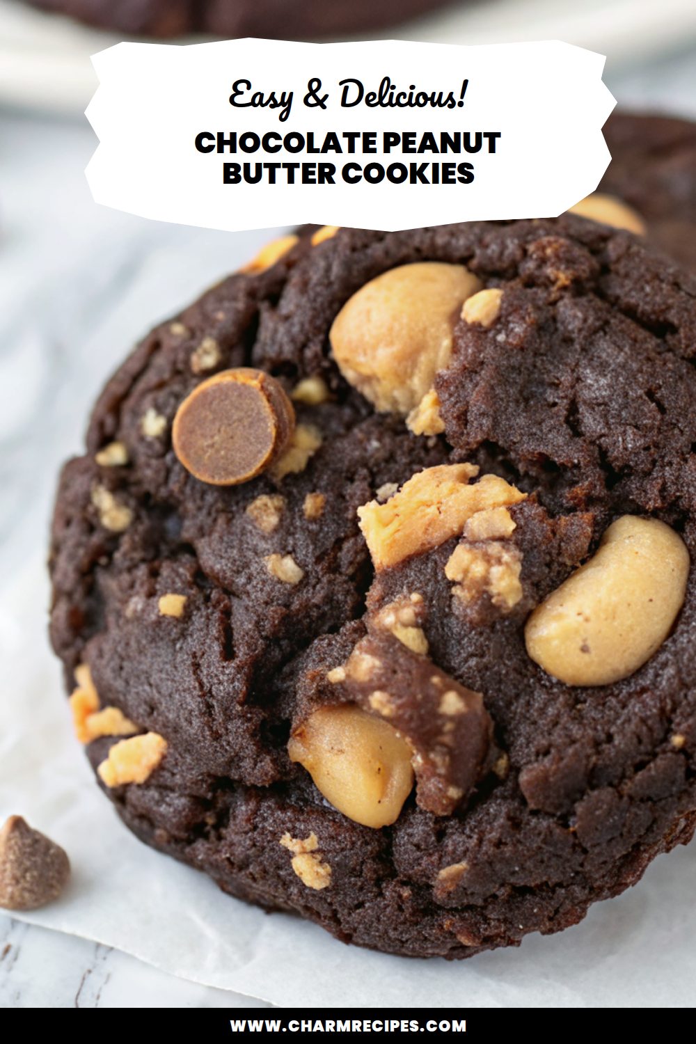 Chocolate Peanut Butter Cookies