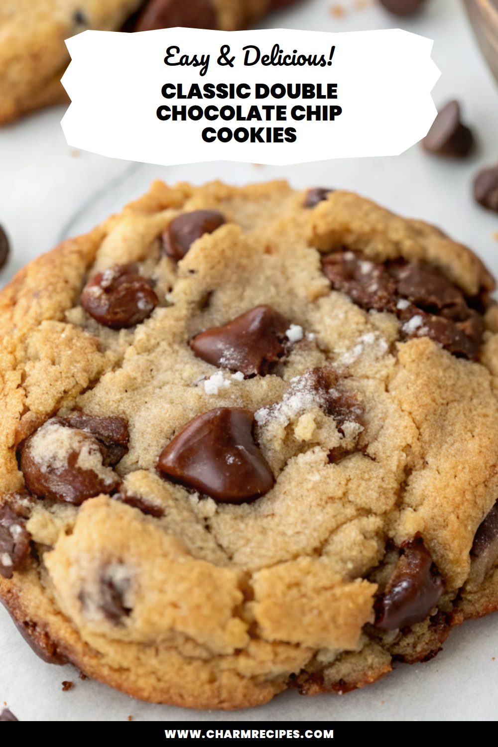 Classic Double Chocolate Chip Cookies