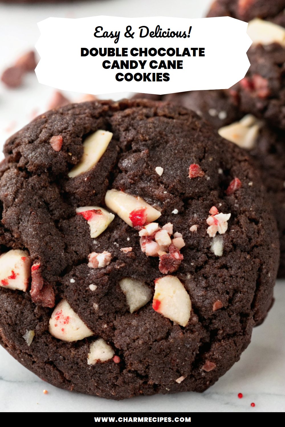 Double Chocolate Candy Cane Cookies
