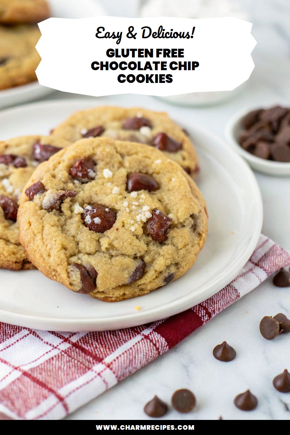 Gluten Free Chocolate Chip Cookies