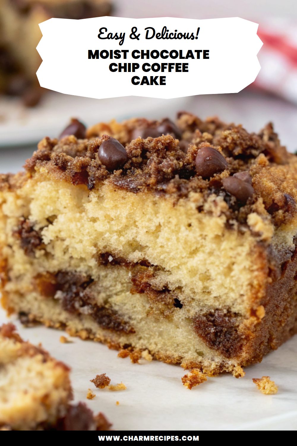 Moist Chocolate Chip Coffee Cake