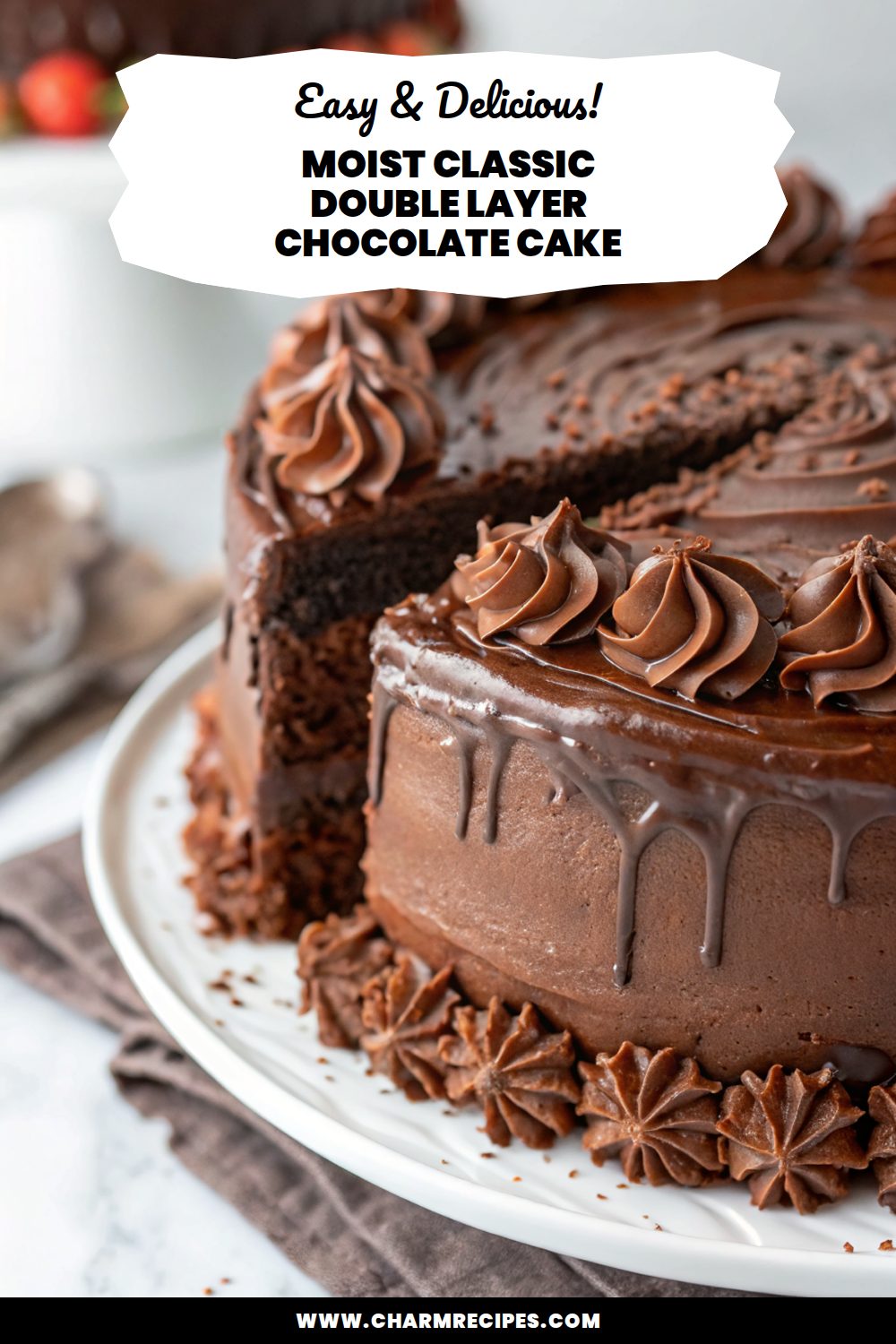 Moist Classic Double Layer Chocolate Cake