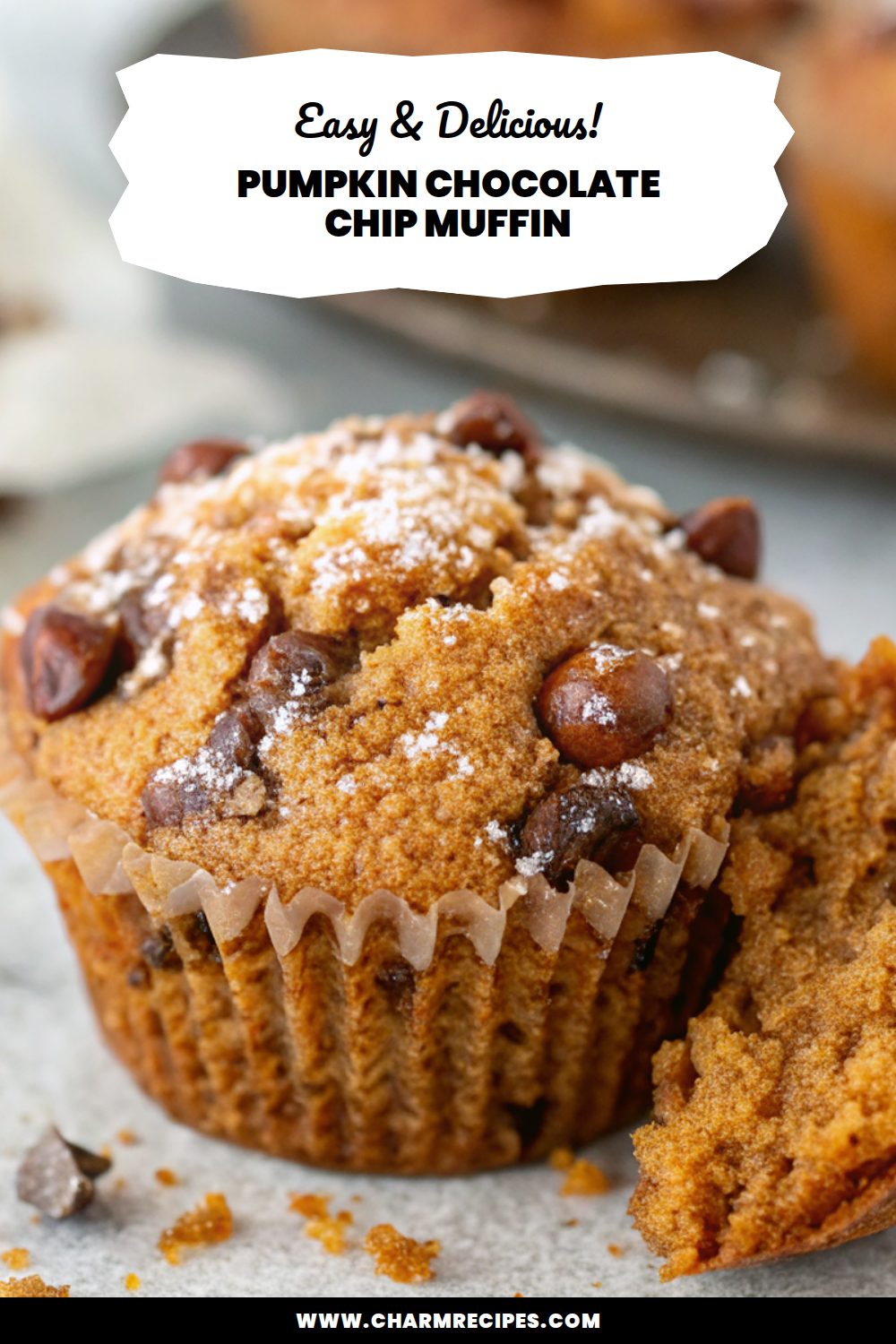 Pumpkin Chocolate Chip Muffin Recipe