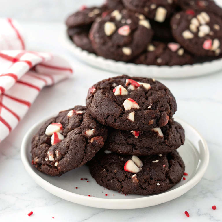 Double Chocolate Candy Cane Cookies